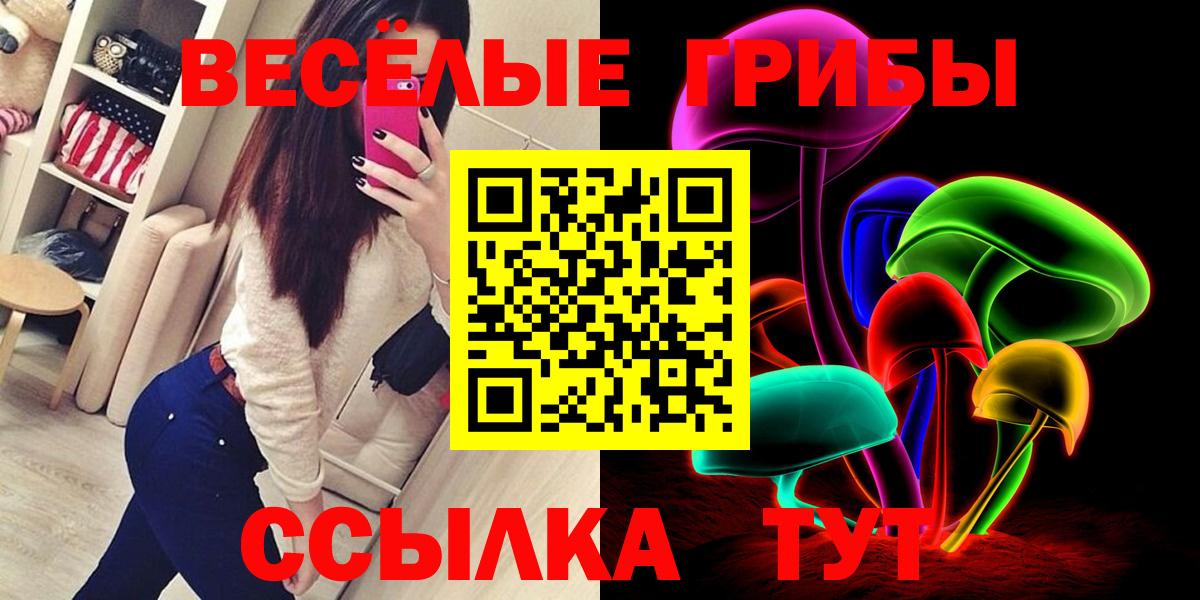 Королёв  Псилоцибиновые грибы Psilocybe  Вход с VPN  Псилоцибиновые грибы Cubensis 
